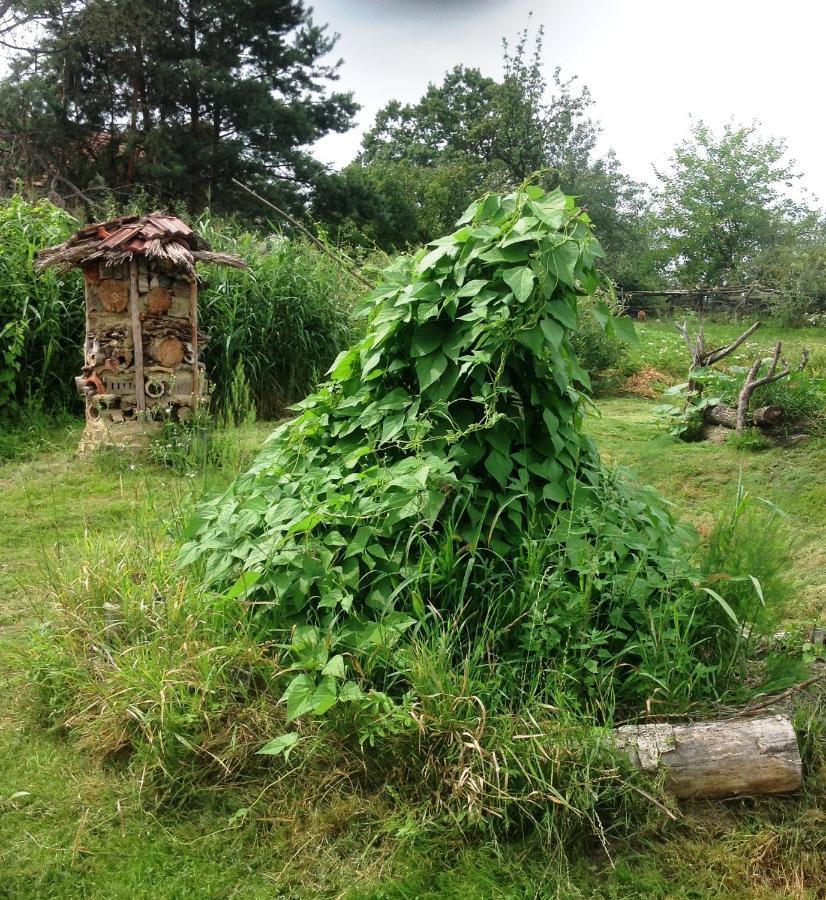 Biohof Am Turawa-see * Szczedrzyk